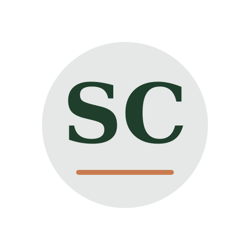 Shah Chimney Services logo